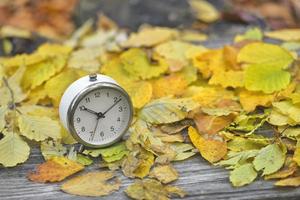 Clock with fallen leaves