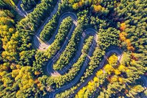 Vista aérea de una sinuosa carretera de montaña que pasa a través de abetos en el bosque