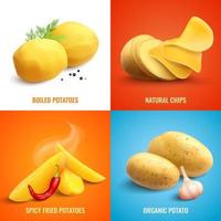 Potato Realistic 2x2 Design Concept Vector Illustration