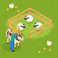 Cattle Farming Isometric Composition Vector Illustration