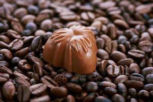 Chocolate candy close-up photo