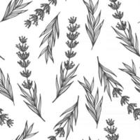 WHITE SEAMLESS BACKGROUND WITH  LAVENDER SPRIGS vector