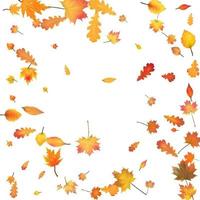 Autumn background with golden autumn  leaves Vector