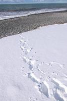 Steps on white snow leading to the beach photo