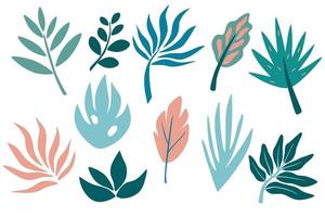 Set of tropical leaf, greenery, leaves, twig, branch. Hand drawn botanical graphic elements. vector