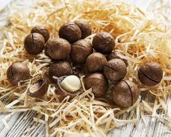 Organic Macadamia nuts photo