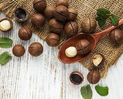 Organic Macadamia nuts photo