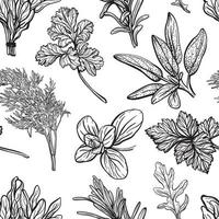 Seasonings and herbs pattern. Aromatic spices, healthy herbs. Basil, oregano, parsley, dill.Hand-drawn vector illustration.