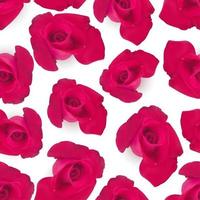 Vector red realistic roses seamless background on a white background prints for clothes