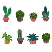 Set of cactus and succulent plants isolated on white background for your projects, invitation or greeting card vector