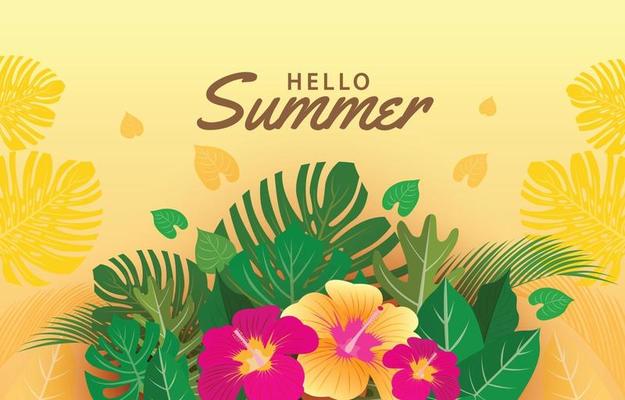 Hello Summer Tropical Background
