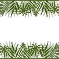 Summer frame border made of exotic tropical leaves vector