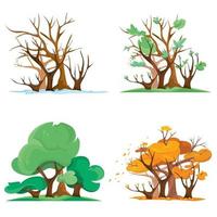 bosque en diferentes épocas del año. vector