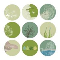 resaltar la portada establecer iconos botánicos florales abstractos para las redes sociales vector