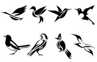 conjunto de imágenes vectoriales de varias aves como garza colibrí urraca halcón gaviota y espita bulbul buen uso para símbolo mascota icono avatar y logotipo vector