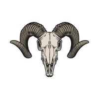 Goat Skull Vector Graphic