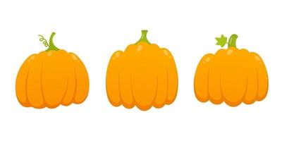 3 orange pumpkins set with leaf and gradient colors flat style design vector illustration