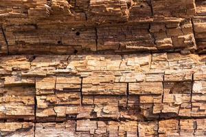 textura de madera vieja marrón