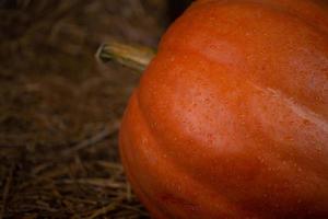 Calabaza fresca naranja grande en heno foto