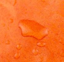 Close-up de textura de fondo abstracto de una calabaza naranja húmeda foto
