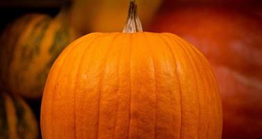 Big orange fresh pumpkin on hay photo