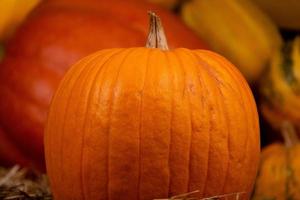 Big orange fresh pumpkin on hay photo