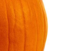 Close-up macro shot of orange pumpkin isolated on white background with space for text photo