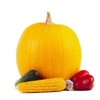 Pumpkin and vegetables for cooking on white background photo