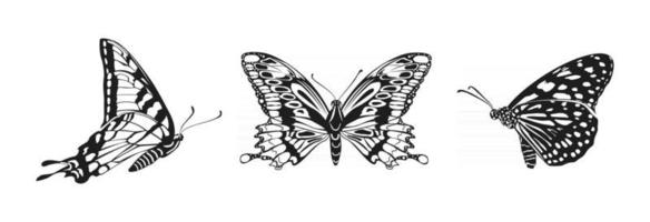 conjunto de vector mariposas mariposa monarca