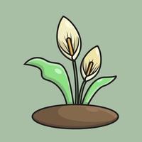 The white cala lily grows on a rock and has an leaf illustrated vector