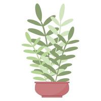 Plant leaves in a pot beautiful green houseplant isolated vector Simple trendy flat style for interior garden decoration design