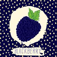 blackberry dibujado a mano fruta bosquejada con hoja sobre fondo azul con patrón de puntos doodle vector blackberry para logo etiqueta identidad de marca