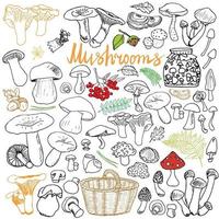 Mushrooms sketch doodles hand drawn set Different types of edible and non edible mushrooms Vector icons on white background