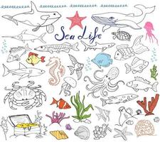 gran vida marina animales conjunto de bocetos dibujados a mano garabatos de peces tiburón pulpo cangrejo estrella tortuga caballito de mar conchas marinas y letras aisladas vector