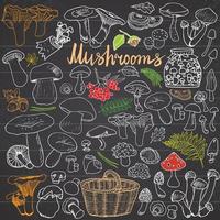 Mushrooms sketch doodles hand drawn set Different types of edible and non edible mushrooms Vector icons on white background