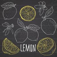 Lemon sketch set Hand drawn doodles lemon fruits with leaves Vector illustration on chalkboard