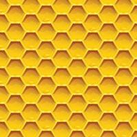 Honeycomb colorful Seamless pattern honeycombs with honey drops inside gold background vector