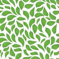 Green leaves seamless pattern on white background vector