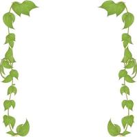 a frame of stems with leaves with drops of water a natural product for decoration vector
