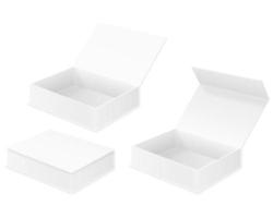 Plantilla en blanco de embalaje de caja de cartón vacía para ilustración de vector de stock de diseño aislado sobre fondo blanco