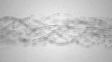 Black Strings Lines and Particles Helix on white backdrop minimal motion graphics background video