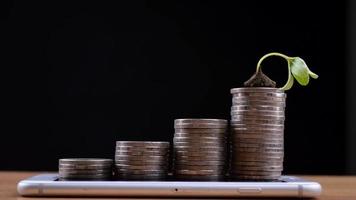 Stop Motion of A Small Tree Growing Over a Coins Stack and A Smartphone video