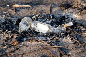 A pile of garbage in the forest park near the campfire site photo