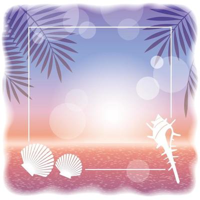 Square Vector Sunset Ocean Background With Palm Leaves Silhouette And Shellfishes