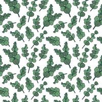 PATTERN WITH EUCALYPTUS BRANCHES vector