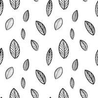Scandinavian pattern,Black and white Floral digital paper,Botanical Digital patterns. Leaves and flowers pattern. vector