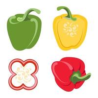 Set of isolated vector peppers Juicy farm vegetables sweet and hot food Slices and cutaway pepper