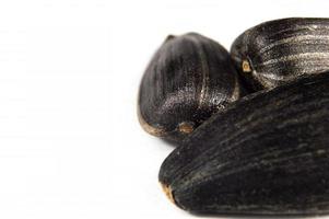 Sunflower seeds in  macro on white background photo