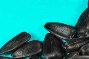 Sunflower seeds in  macro on blue background photo