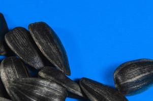 Sunflower seeds in  macro on blue background photo